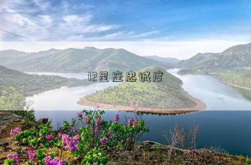 12星座忠诚度