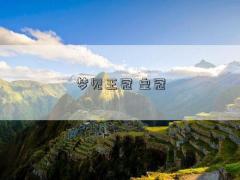 梦见王冠 皇冠