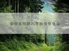 新生儿生辰八字取名字免费