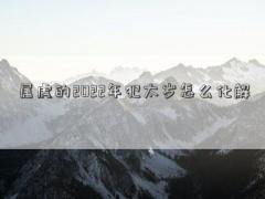 属虎的2022年犯太岁怎么化解