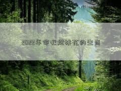 2022年命犯烂桃花的生肖