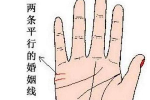 手相分析:你的手上有两条感情线吗,两条感情线代表着什么呢?
