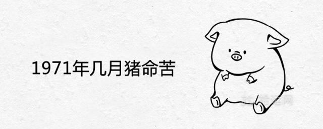 1971年几月猪命苦