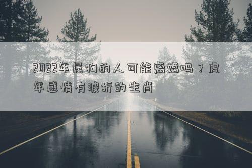 2022年属狗的人可能离婚吗?虎年感情有波折的生肖